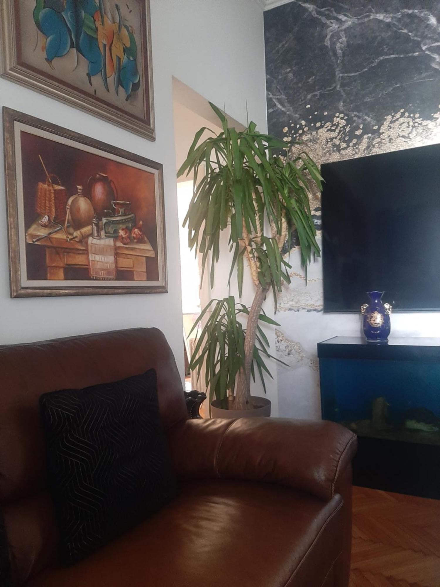Stylish King Downtown Διαμέρισμα Ποντγορίτσα Εξωτερικό φωτογραφία